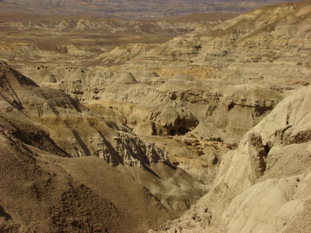 La Leona Petrified Forest - Image 19