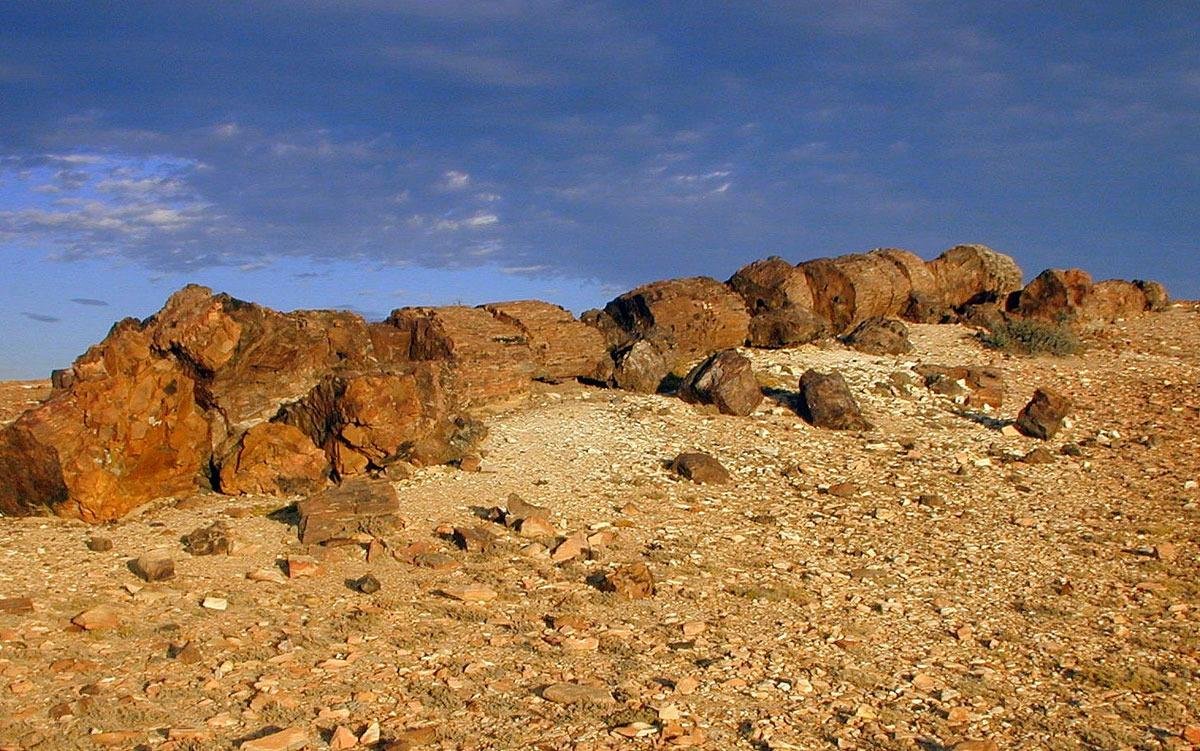 La Leona Petrified Forest - Image 20