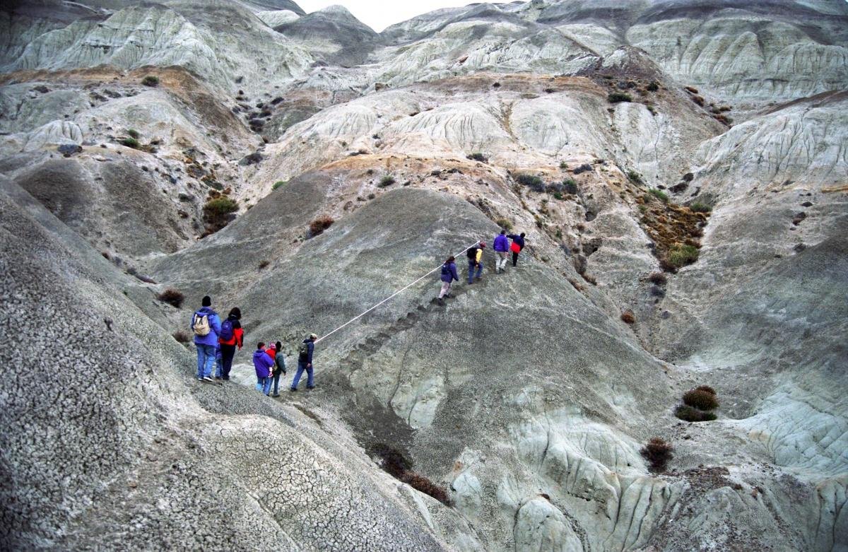 La Leona Petrified Forest - Image 21