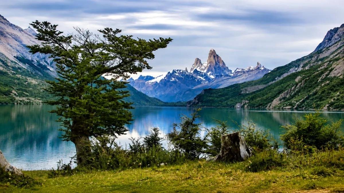 One Shot Vespignani — Lago del Desierto & Glaciar Vespignani
