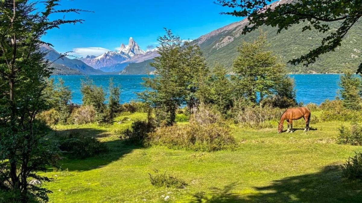 One Shot Vespignani — Lago del Desierto & Glaciar Vespignani - Image 7