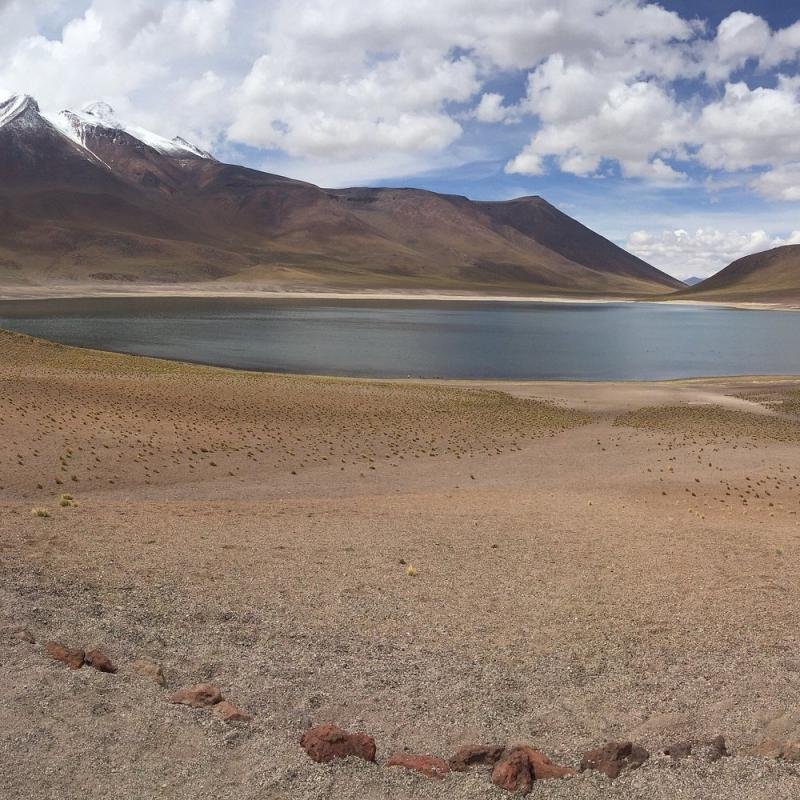 Altiplanic Lagoons & Piedras Rojas Tour - Image 5