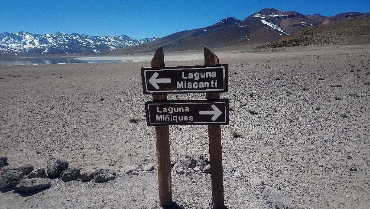 Altiplanic Lagoons & Piedras Rojas Tour - Image 7