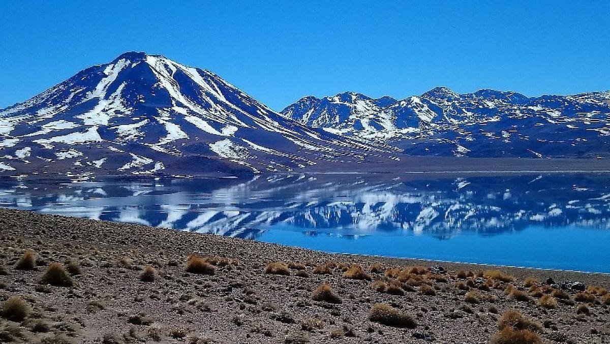 Altiplanic Lagoons & Piedras Rojas Tour - Image 8