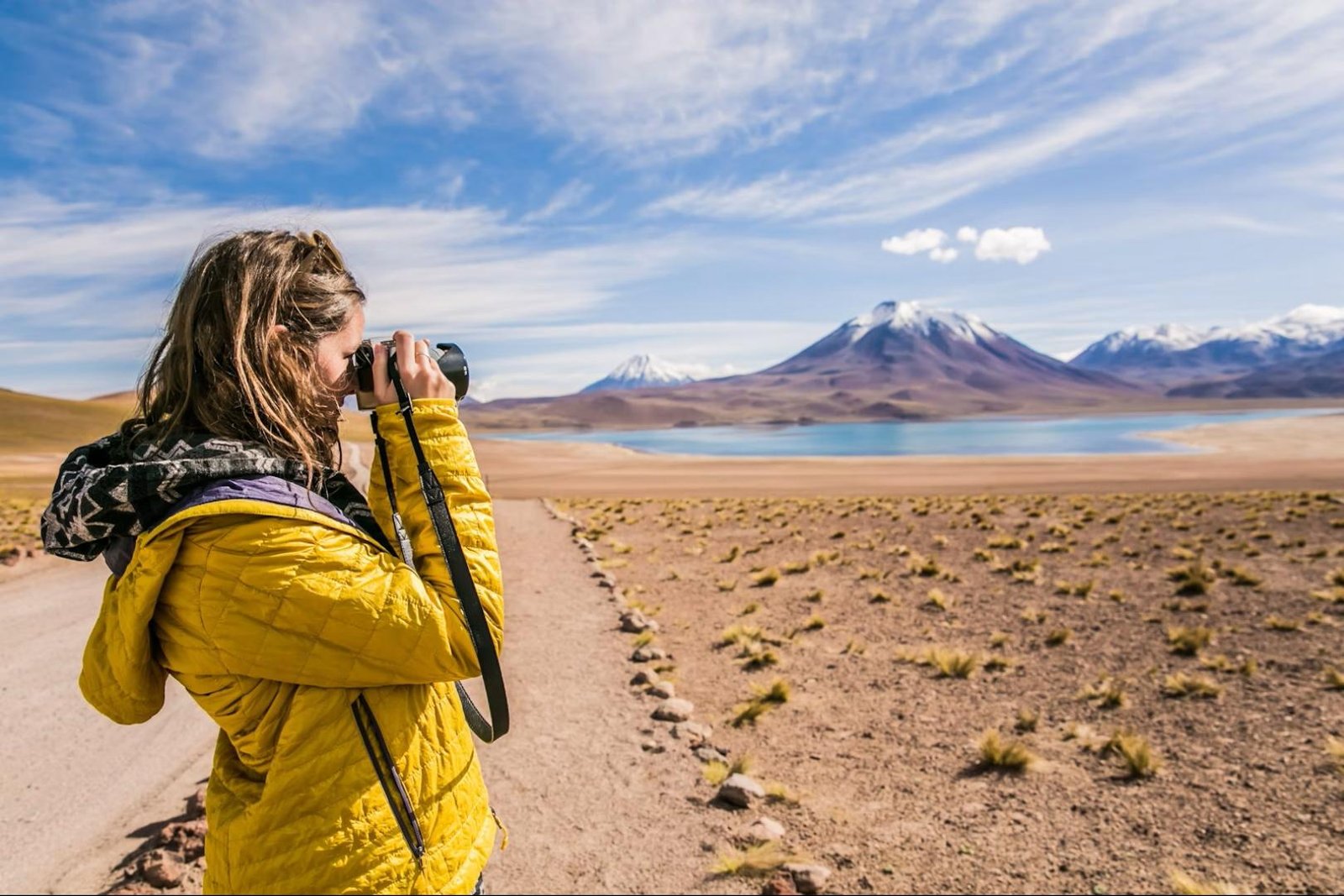 Altiplanic Lagoons & Piedras Rojas Tour