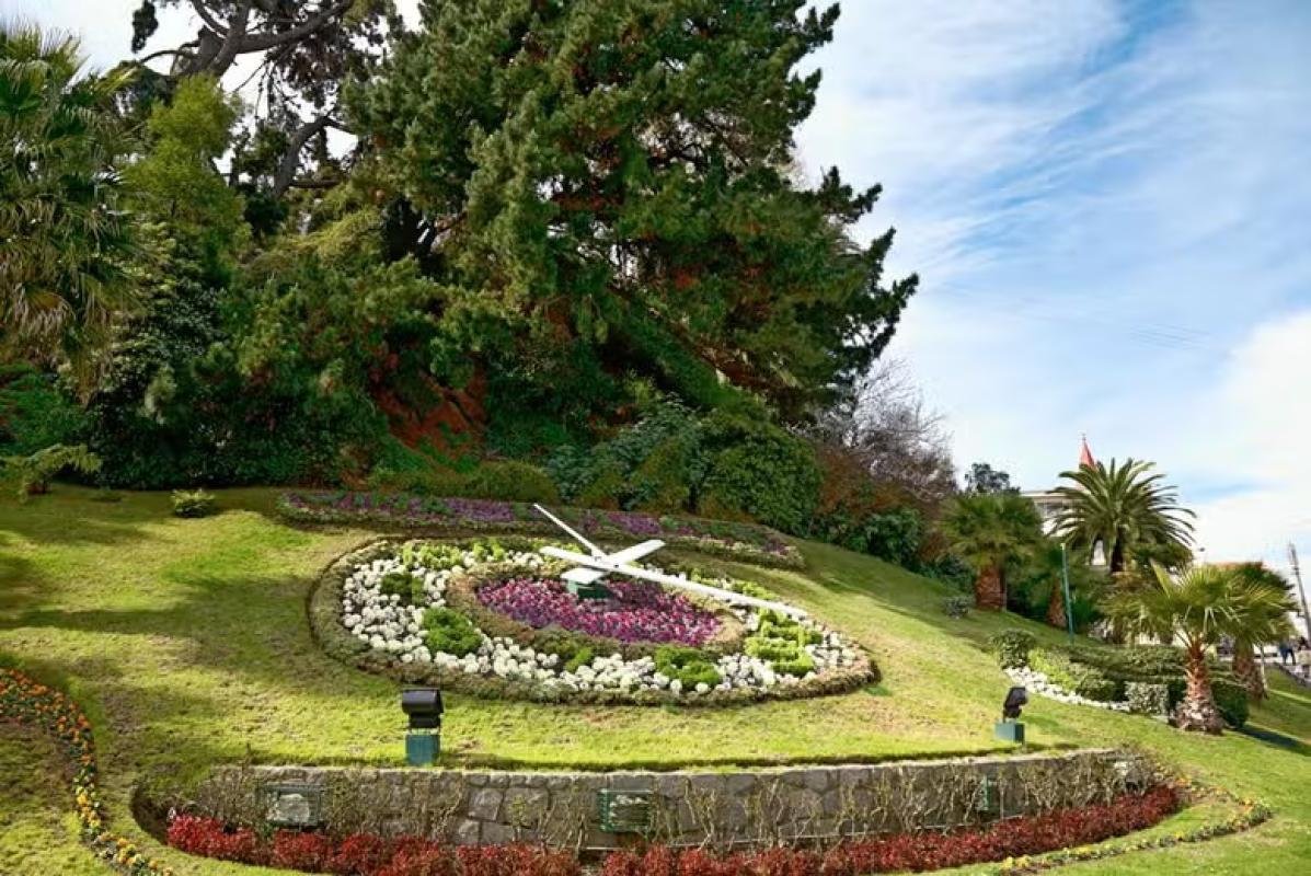 Valparaíso & Viña del Mar Tour  - Image 2