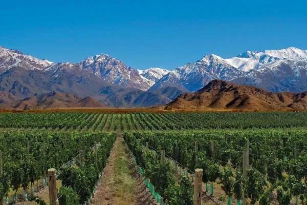 Mendoza Wine Land