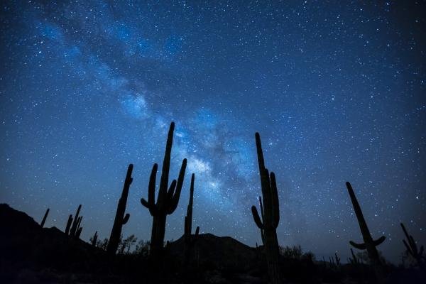 Stargazing in the Atacama Desert: A Private Guide to Observatories, Planning, and Logistics