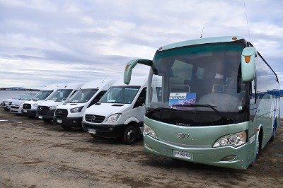 buses