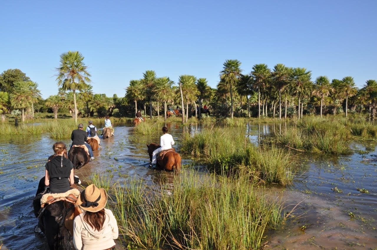 ibera wetlands argentina 