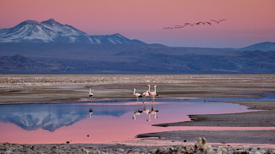 atacama salt flats