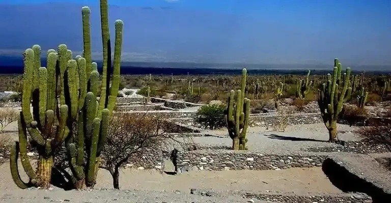 Quilmes Ruins Tucuman  Argentina Route 40