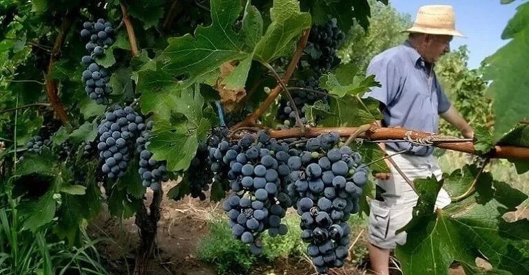 Mendoza Argentina Route 40