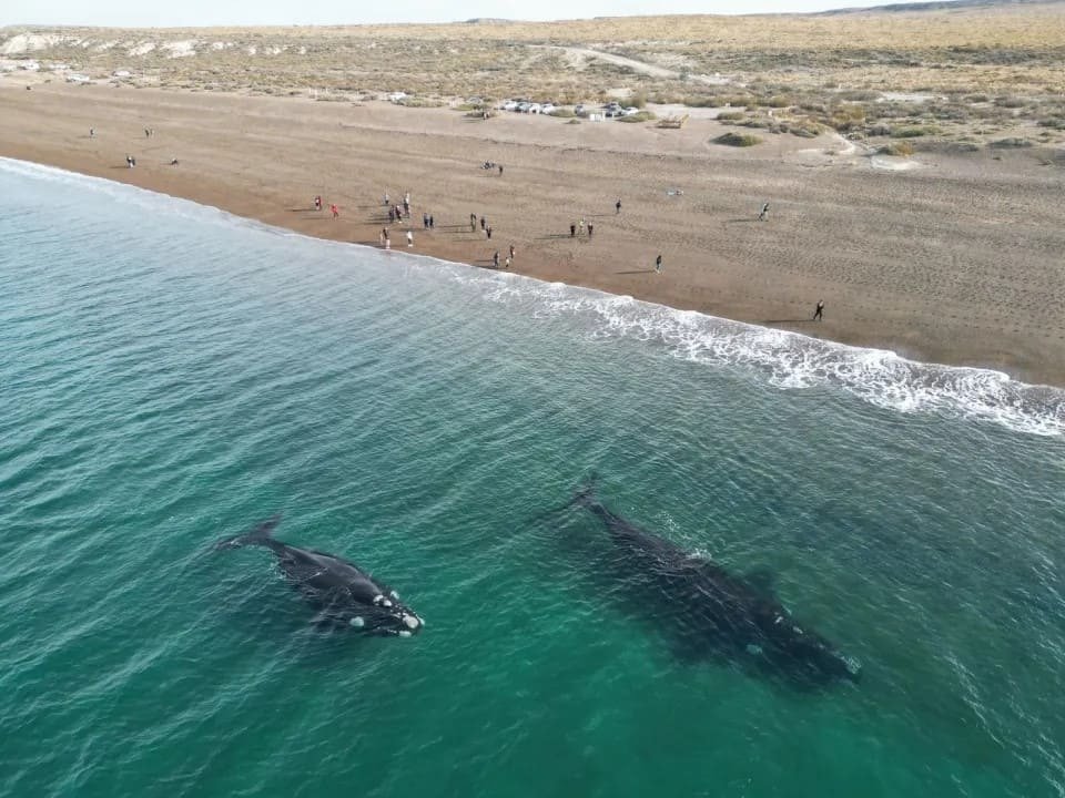 puerto_madryn_el_doradillo_beach