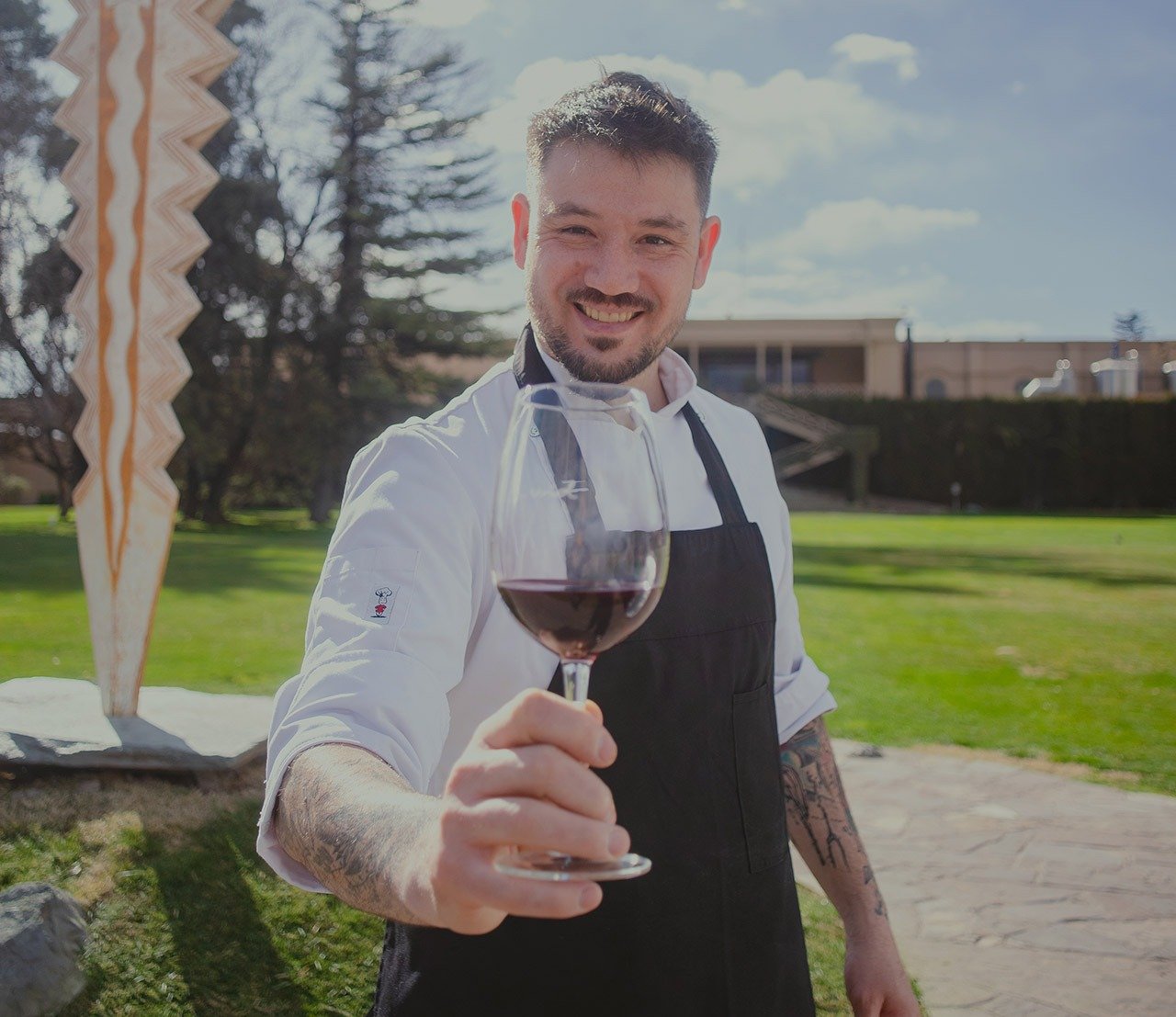 Bodegas Norton Mendoza Wines (