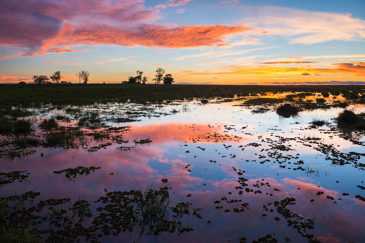 sunset ibera wetlands argentina