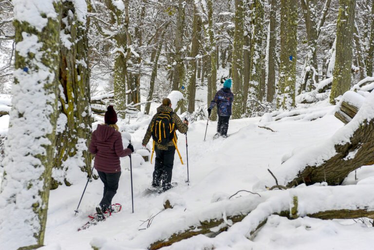 winter trekking ushuaia patagonia argentina