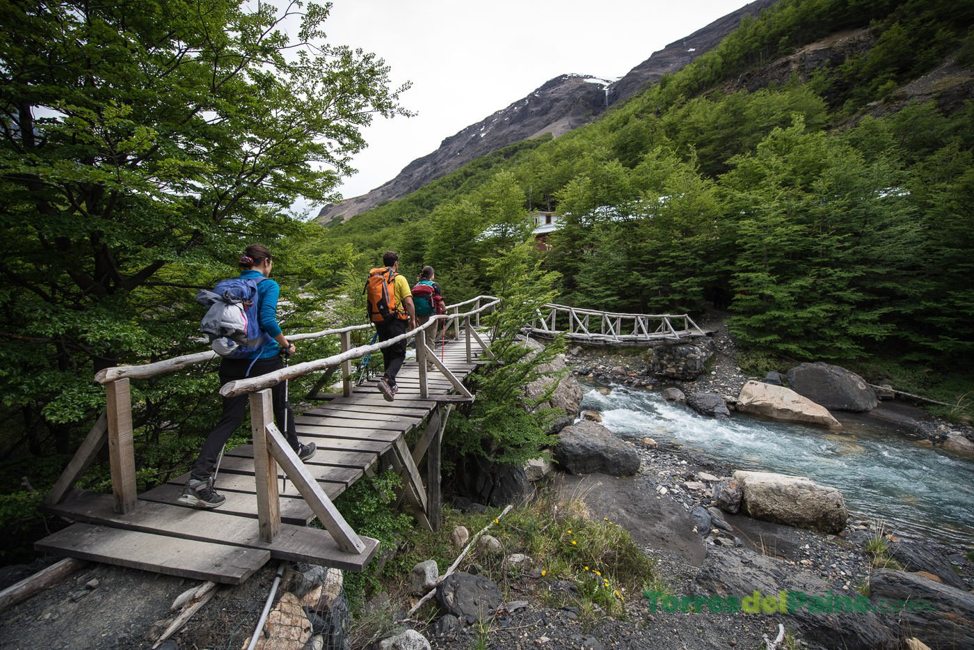 sendero-las-torres-chileno-torrs del paine chile