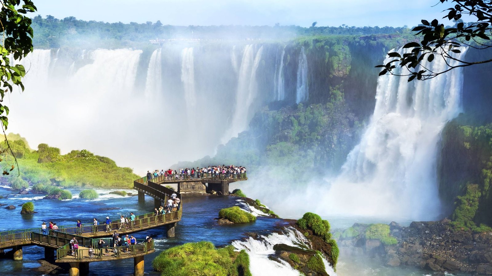 Iguazu & Ibera Wetlands