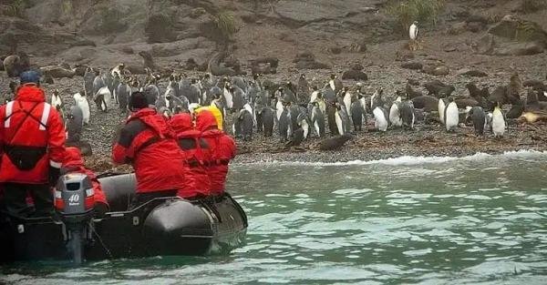 Wildlife & Photography Tours