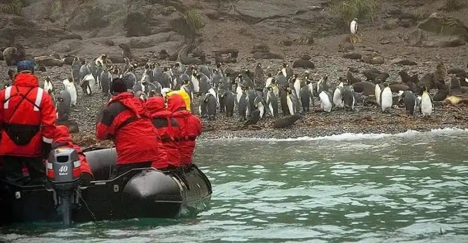 Wildlife & Photography Tours