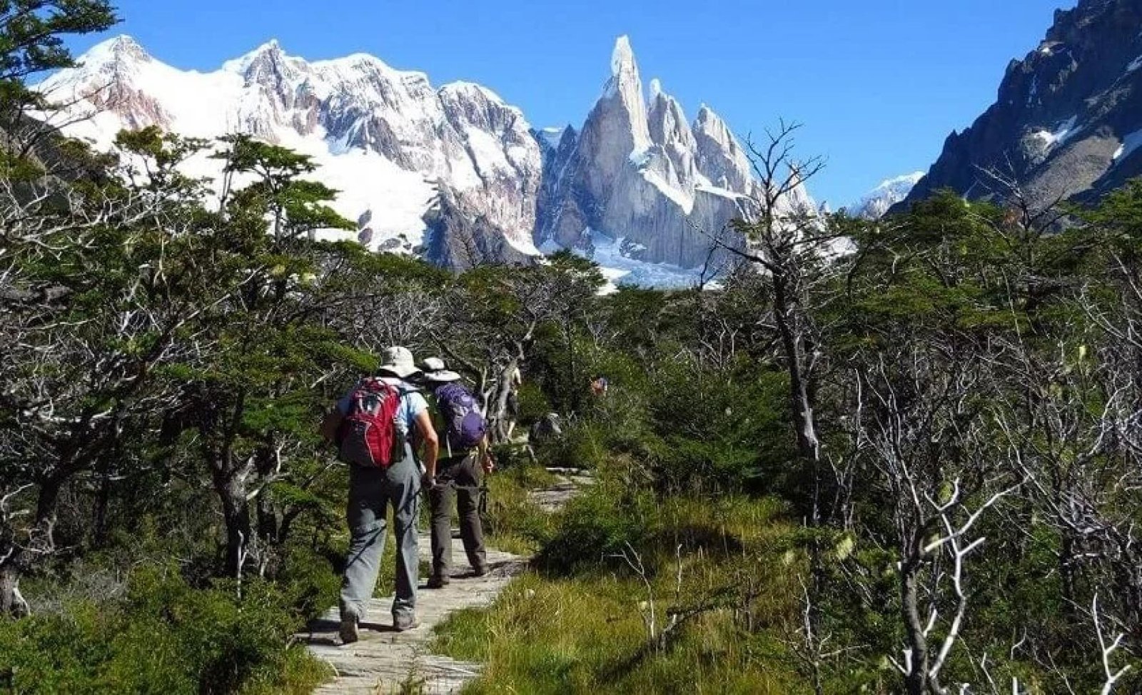 Hiking Tours in Patagonia