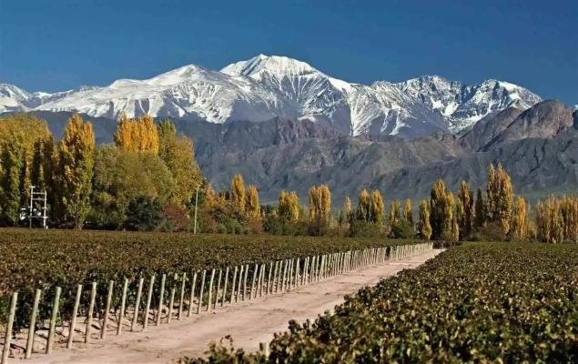 Mendoza Wine Tour