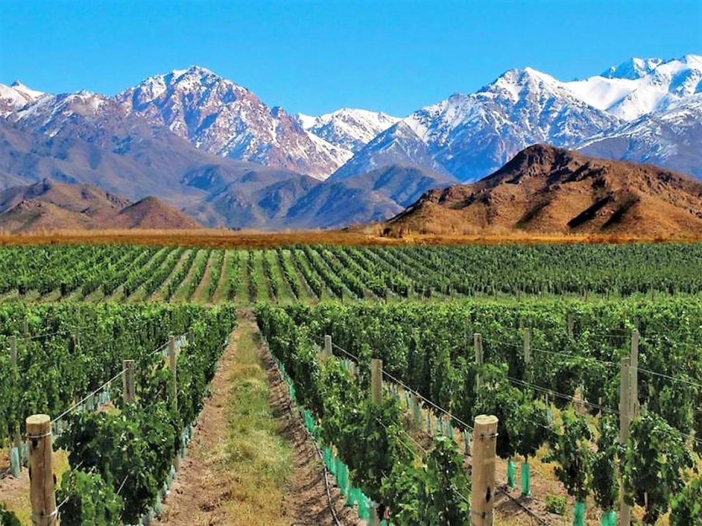 Mendoza Wine & Adventure