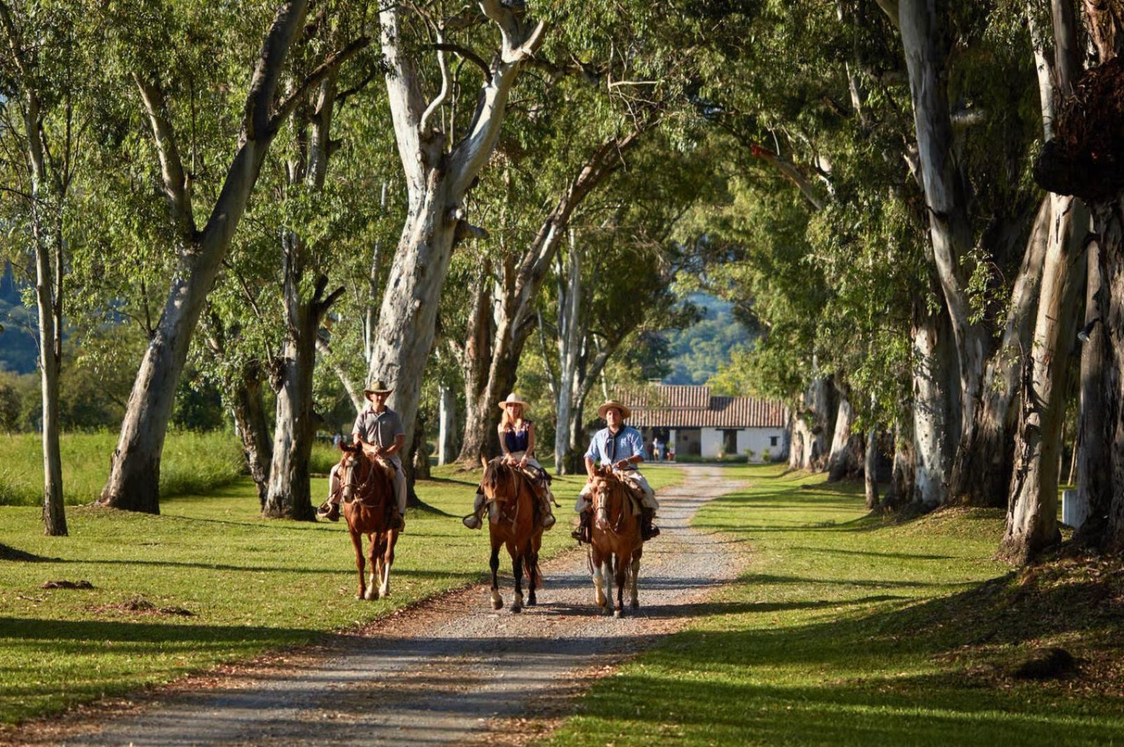 Luxury Argentina Northwest