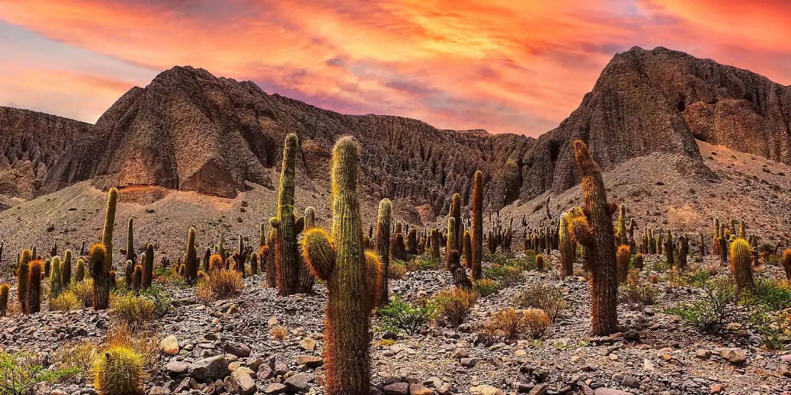North Adventure Salta, Jujuy, Atacama & Iguazu Falls